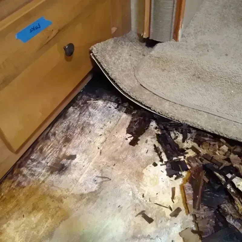 Best Wood Floor Water Damage Service in Sheldon, TX